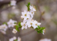 杨妞花的团圆时刻，摄影师的镜头见证