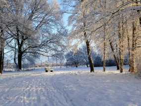 冰雪奇缘，许愿氛围中的神秘魅力