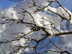 河南高速雪停路净背后的辛勤故事