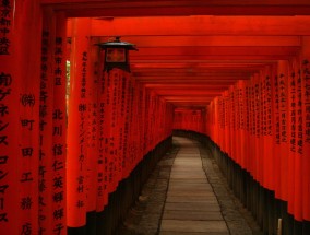 日本首相向靖国神社供奉祭品，历史纷争、争议焦点与未来走向分析